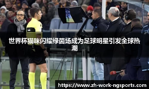 世界杯猫咪闪耀绿茵场成为足球明星引发全球热潮